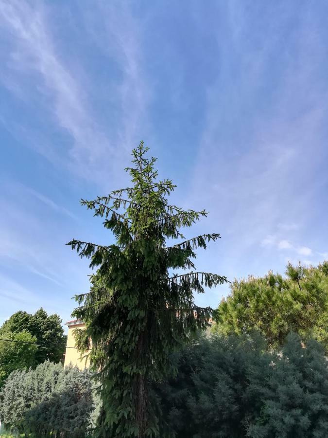 Venice Amazing House Μαργκέρα Εξωτερικό φωτογραφία